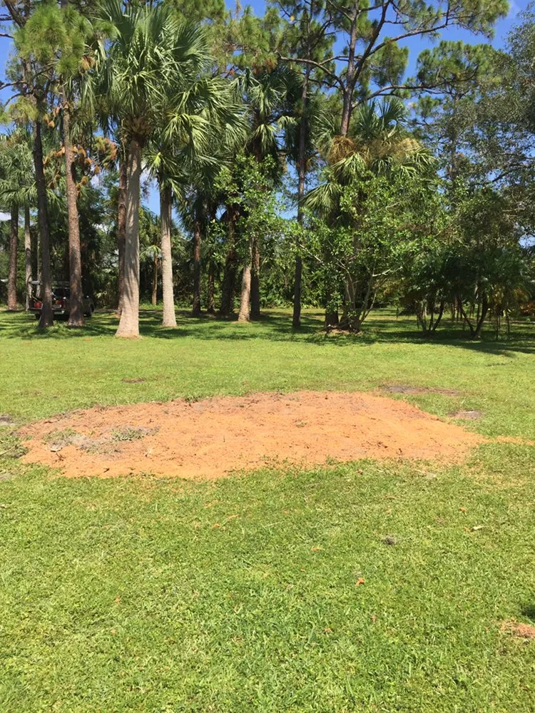 Affordable landscaping services near you in Fort Myers, FL by Tree Service Stump Grinding Lawncare
