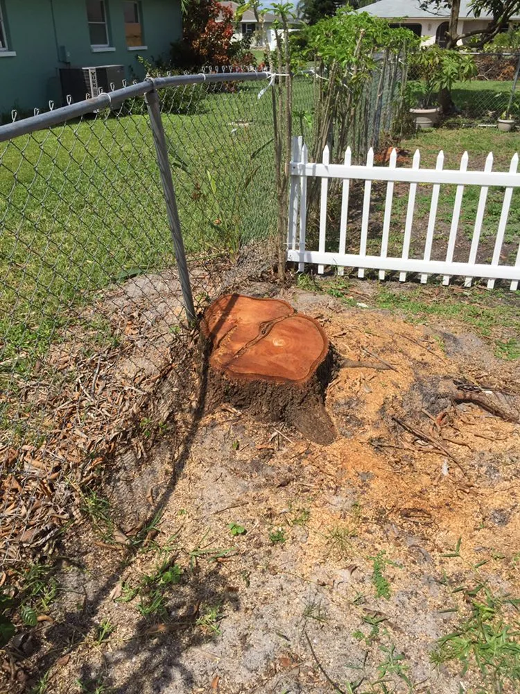 Expert landscaping services experts serving Fort Myers, FL - Tree Service Stump Grinding Lawncare