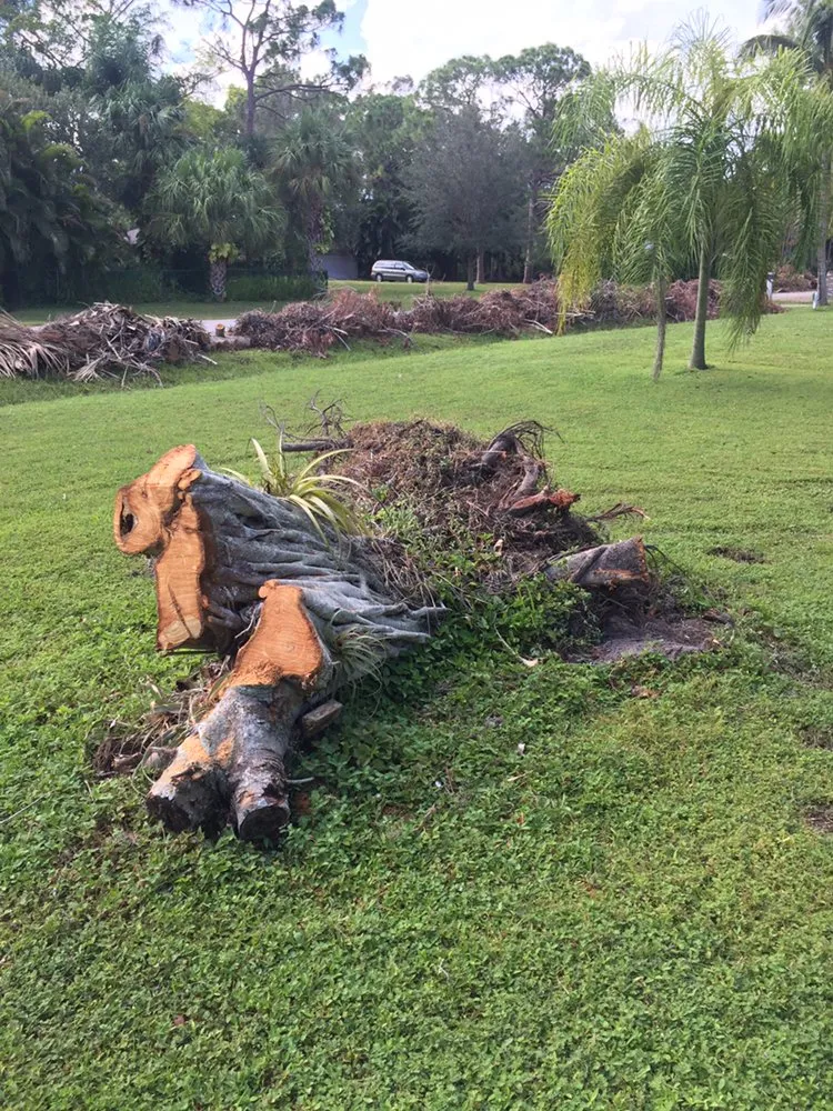 Reliable garden landscaping in Fort Myers, FL by Tree Service Stump Grinding Lawncare