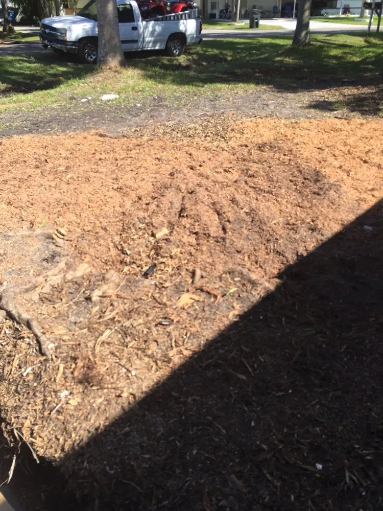 Affordable lawn care service in Fort Myers, FL by Tree Service Stump Grinding Lawncare