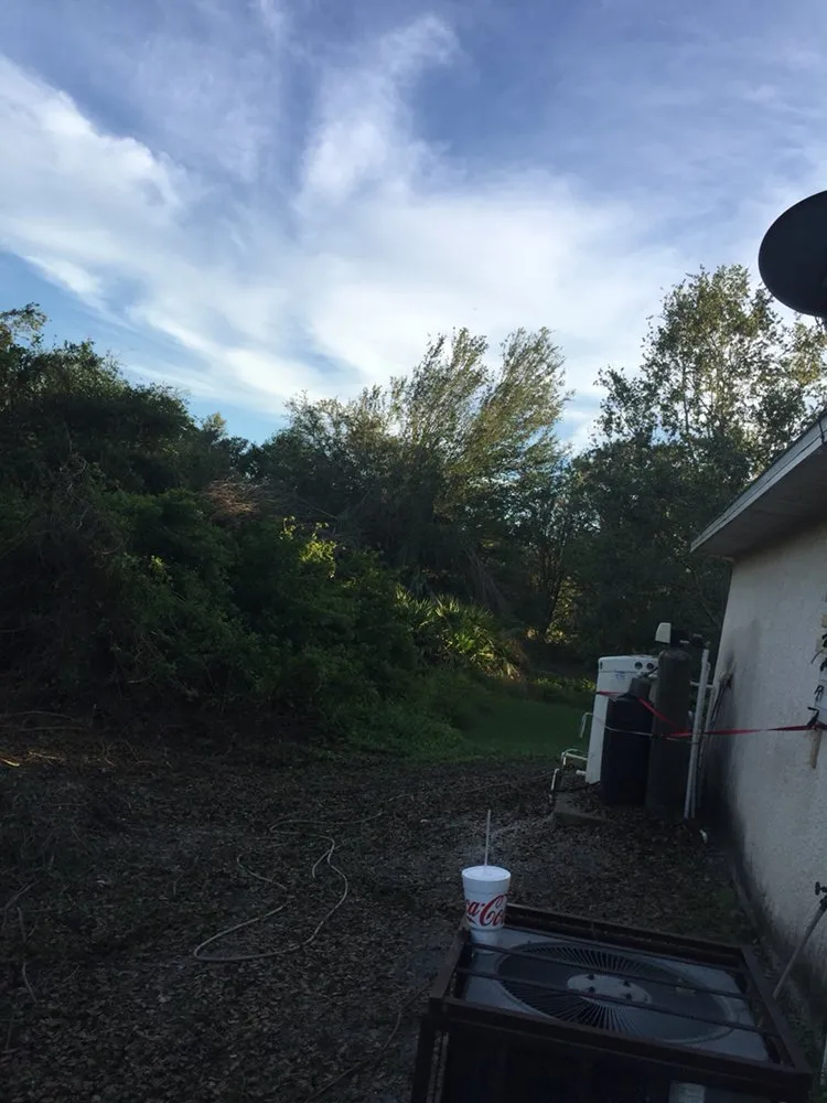 Expert landscape installation in Fort Myers, FL by Tree Service Stump Grinding Lawncare