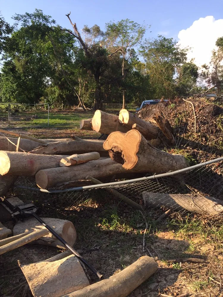 Top-rated garden landscaping in Fort Myers, FL - Tree Service Stump Grinding Lawncare