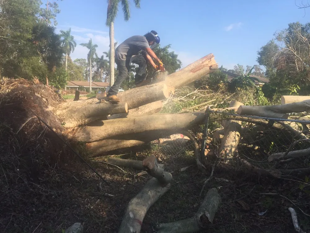 Reliable yard maintenance experts serving Fort Myers, FL - Tree Service Stump Grinding Lawncare