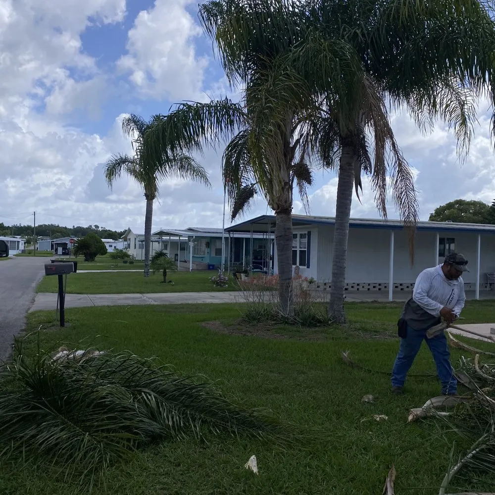 Trusted yard maintenance in Lakeland, FL - Tree service The Lumberjack