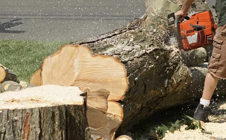 Professional landscape design for outdoor upgrades across York, PA - Tree Service York PA