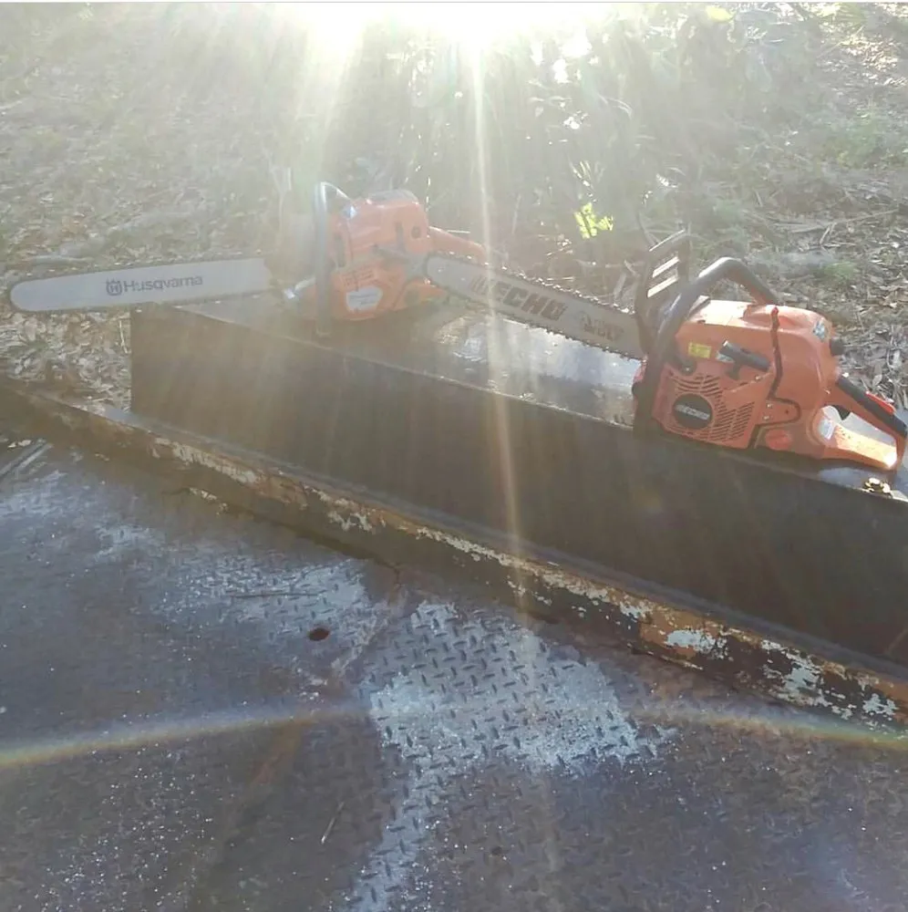 Expert yard maintenance experts serving New Smyrna Beach, FL - Tree Services of New Smyrna