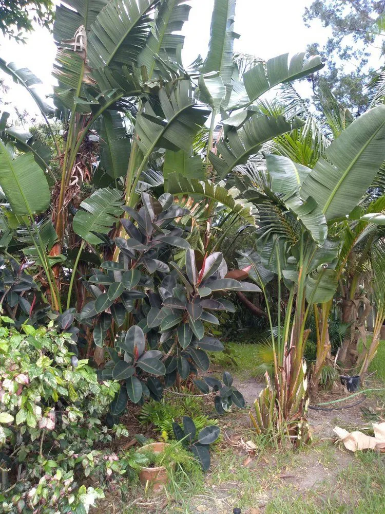 Top-rated landscape design in New Smyrna Beach, FL by Tree Services of New Smyrna