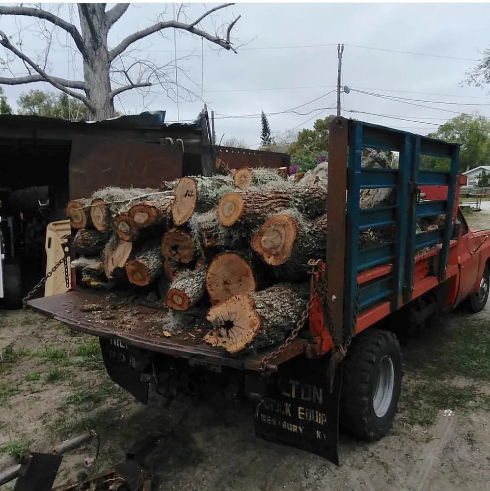 Affordable garden landscaping with custom design in New Smyrna Beach, FL by Tree Services of New Smyrna