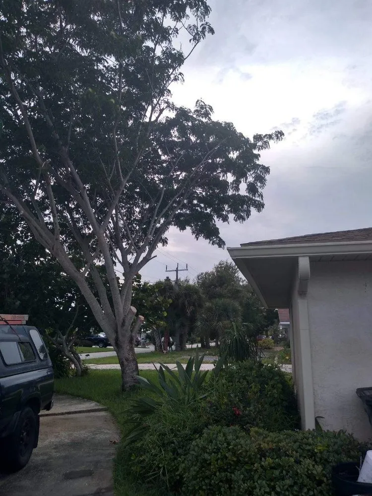 Local residential landscaping for homes in New Smyrna Beach, FL by Tree Services of New Smyrna