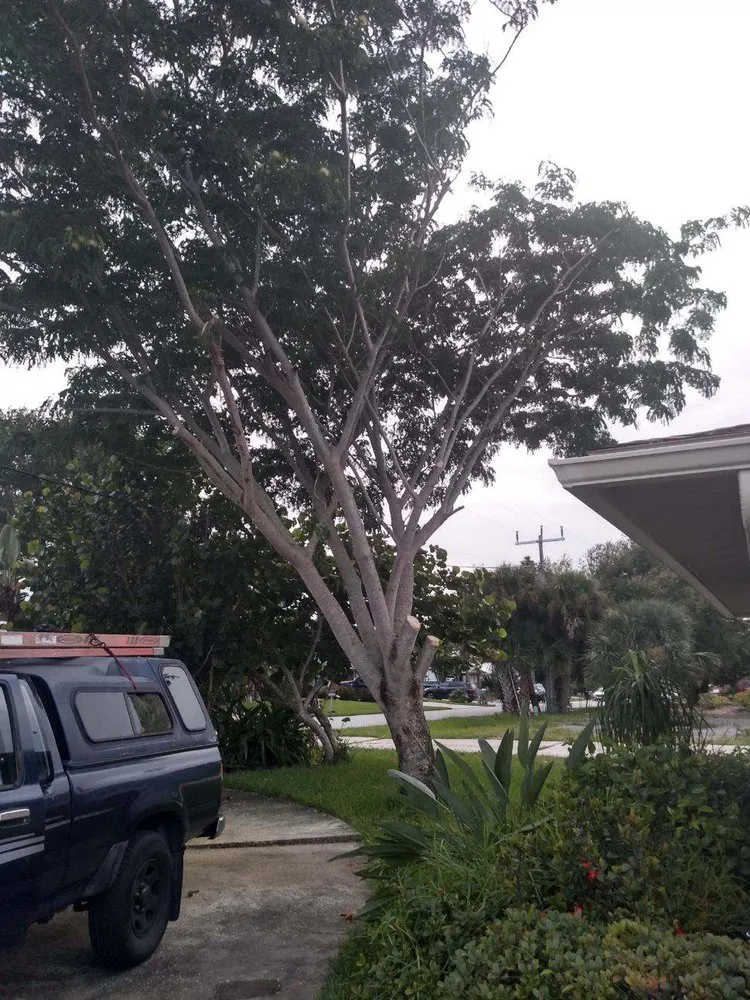 Trusted residential landscaping in New Smyrna Beach, FL by Tree Services of New Smyrna