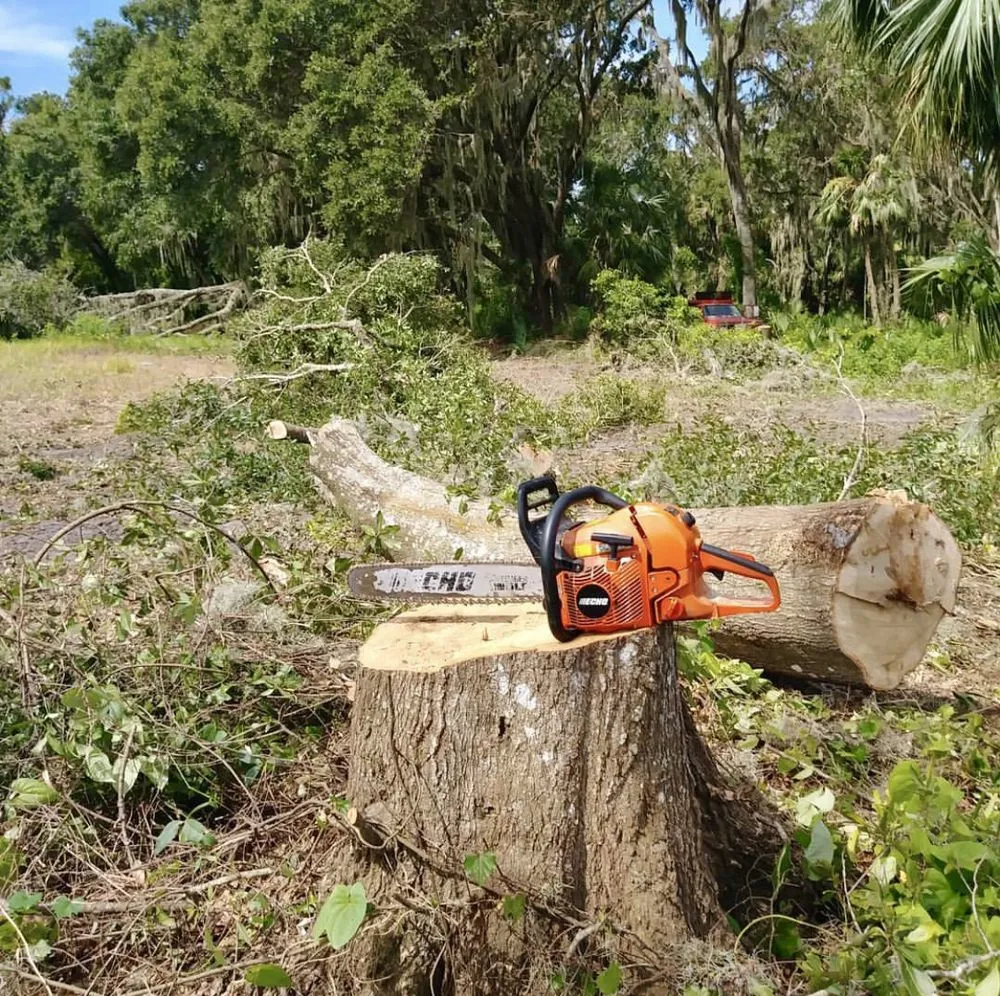 Local yard maintenance for homes in New Smyrna Beach, FL by Tree Services of New Smyrna