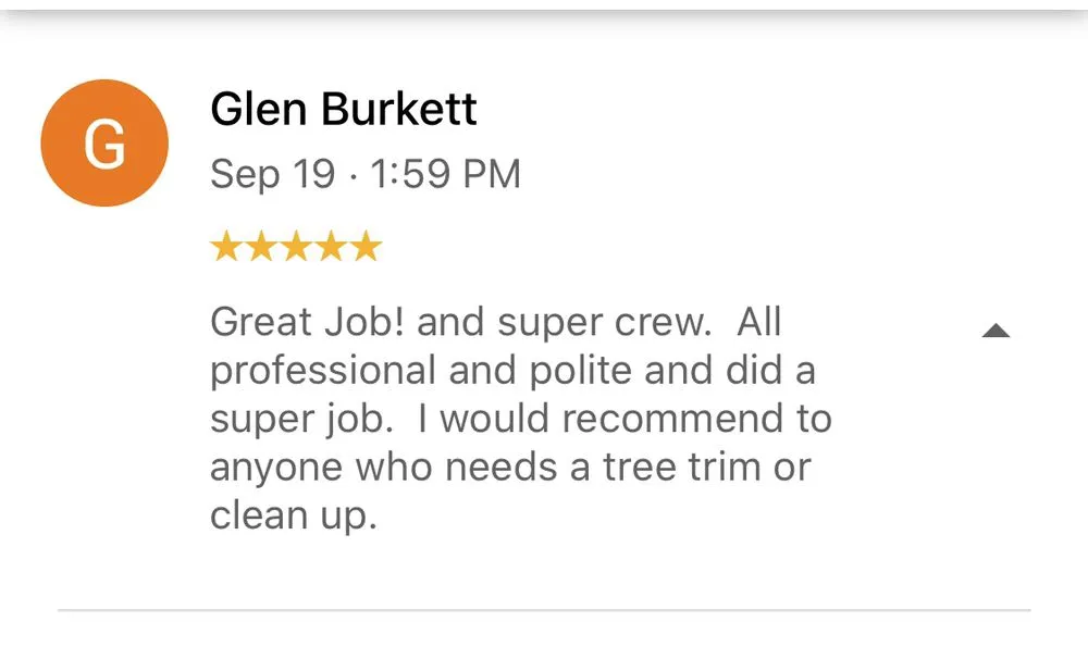 Local yard cleanup service in New Smyrna Beach, FL by Tree Services of New Smyrna