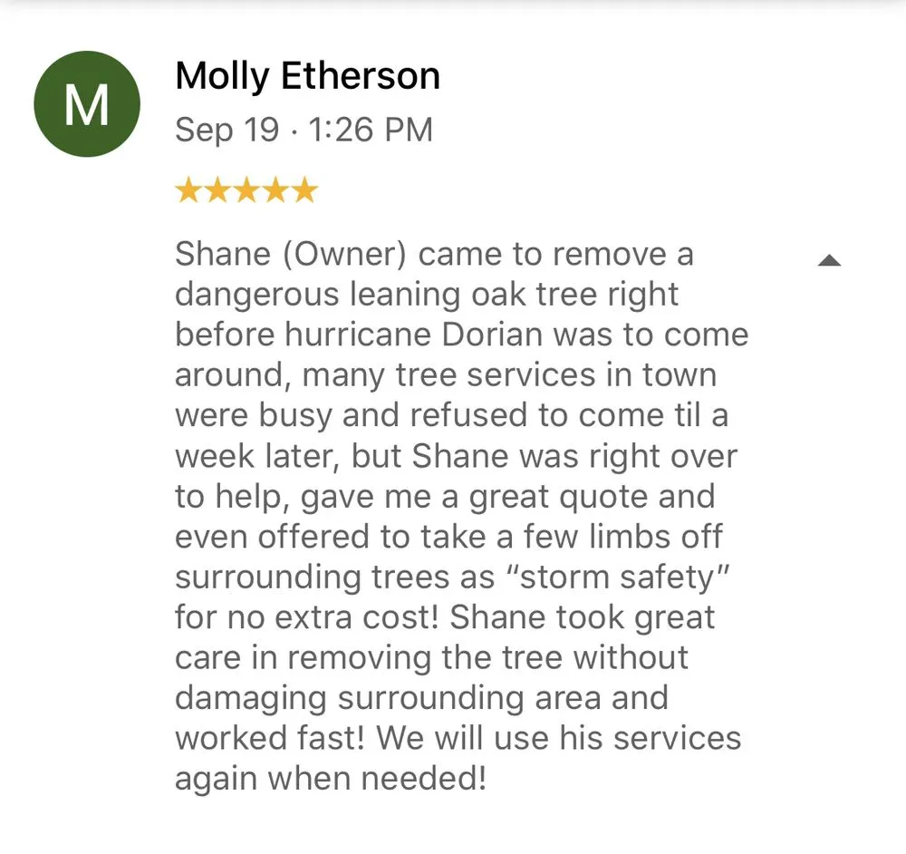 Trusted landscape installation in New Smyrna Beach, FL by Tree Services of New Smyrna