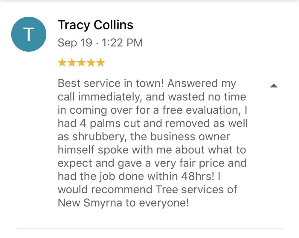 Professional lawn care service for year-round maintenance across New Smyrna Beach, FL - Tree Services of New Smyrna