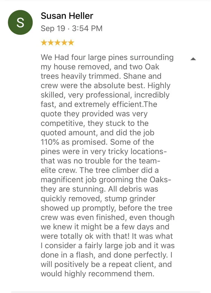 Custom garden landscaping for outdoor upgrades across New Smyrna Beach, FL - Tree Services of New Smyrna