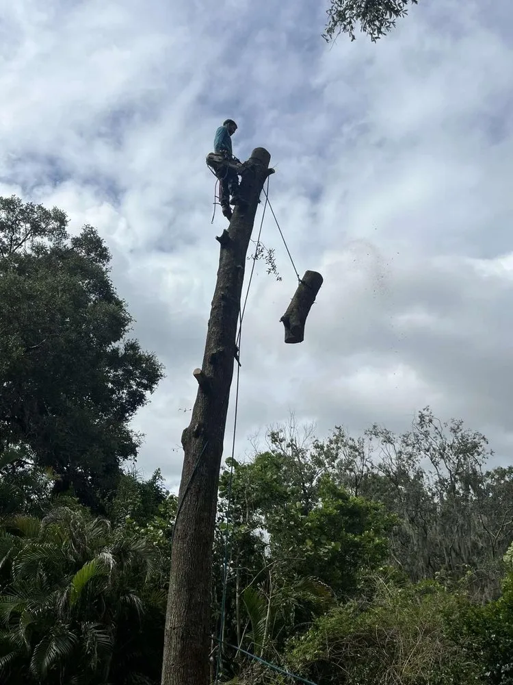 Custom residential landscaping for beautiful yards across Lakeland, FL - Tree Services The Lumberjack