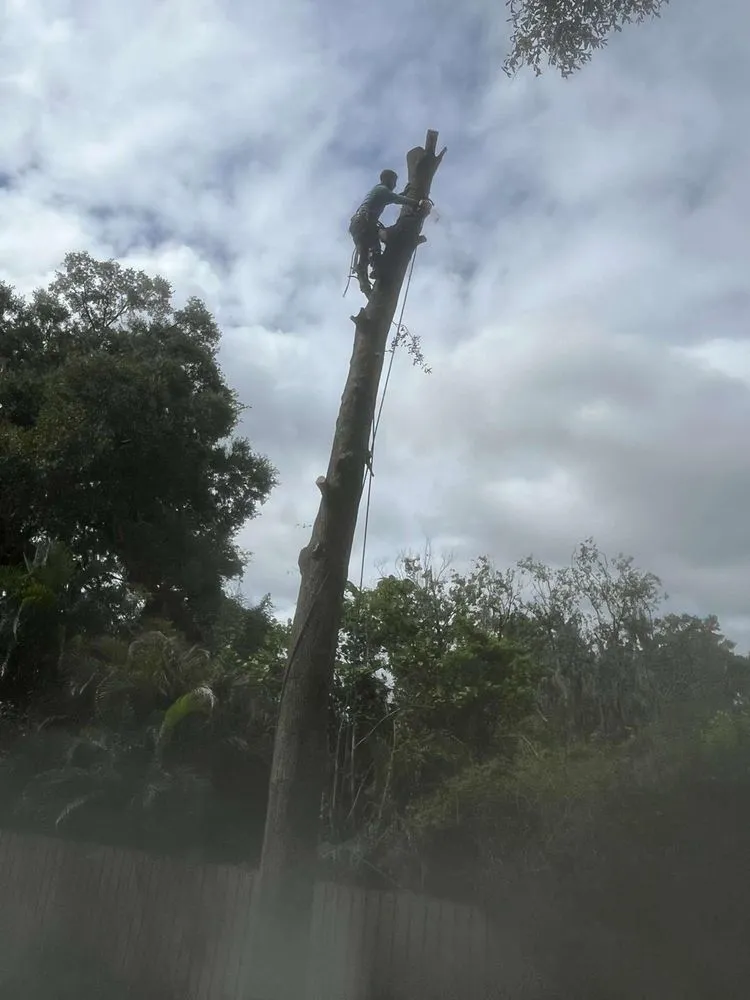 Custom yard maintenance in Lakeland, FL by Tree Services The Lumberjack