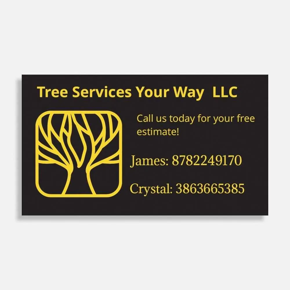 Affordable lawn care service in Palatka, FL - Tree Services Your Way