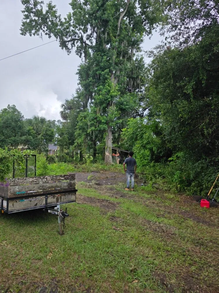 Top-rated outdoor landscaping in Palatka, FL - Tree Services Your Way