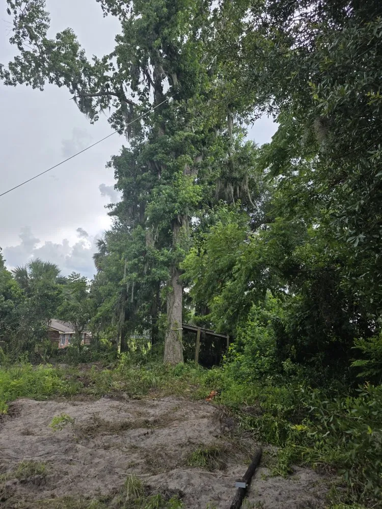 Affordable garden landscaping near you in Palatka, FL by Tree Services Your Way