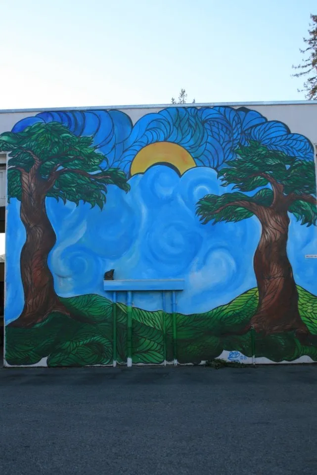 Trusted outdoor landscaping for outdoor upgrades in Santa Cruz, CA by Tree Solutions