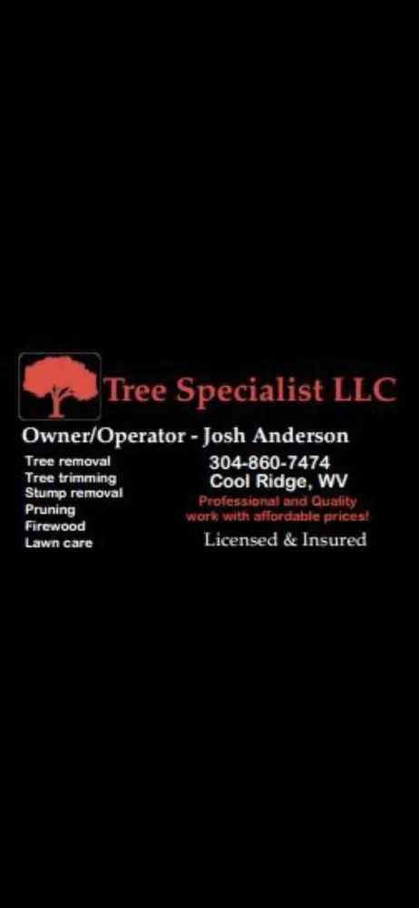 Custom outdoor landscaping in Cool Ridge, WV - Tree Specialist