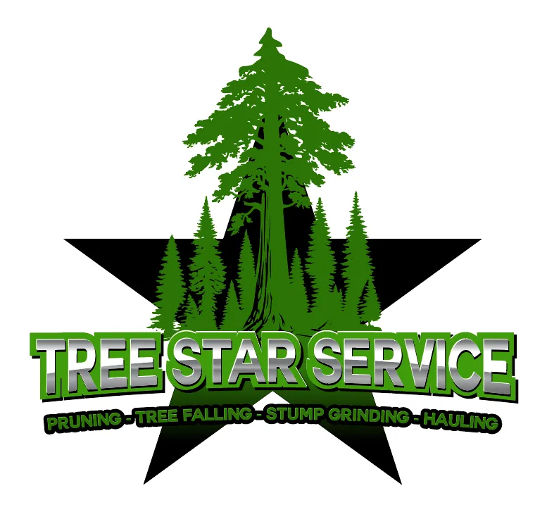 Reliable garden landscaping experts serving Cloverdale, CA - Tree Star Service