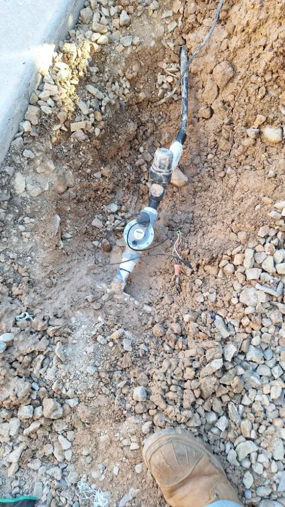 Expert residential landscaping experts serving Paradise, NV - Tree Stars