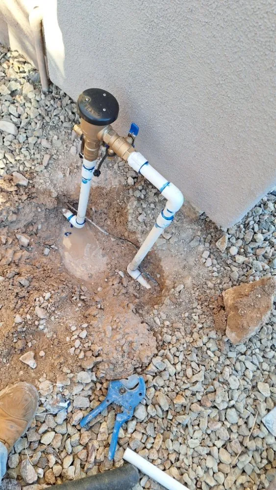 Local lawn care service for year-round maintenance in Paradise, NV by Tree Stars