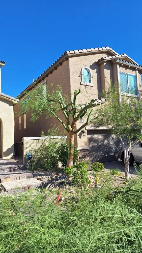 Trusted garden landscaping experts serving Paradise, NV - Tree Stars