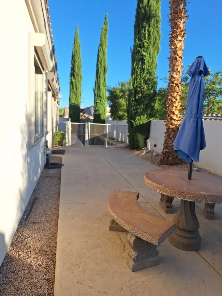 Local yard cleanup service experts serving Paradise, NV - Tree Stars