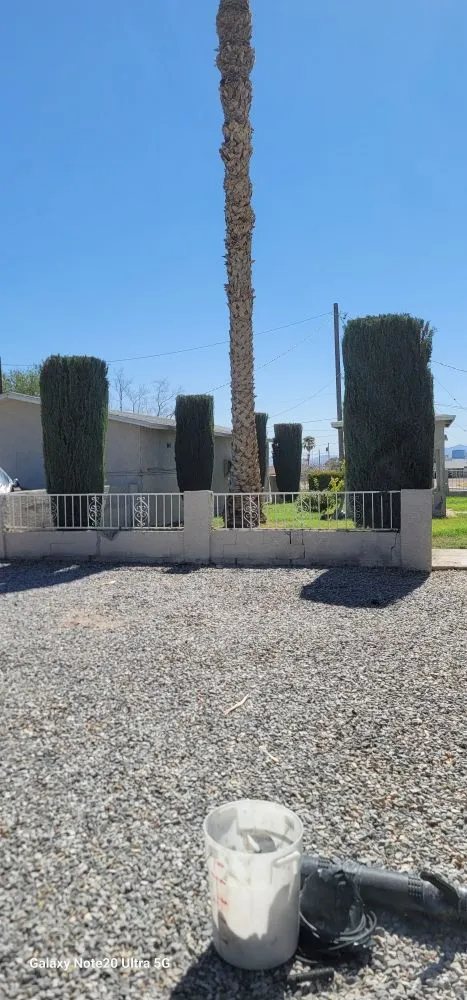 Affordable outdoor landscaping for homes across Paradise, NV - Tree Stars