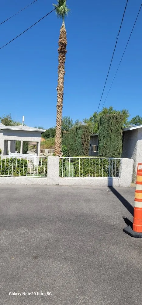 Reliable residential landscaping for homes across Paradise, NV - Tree Stars