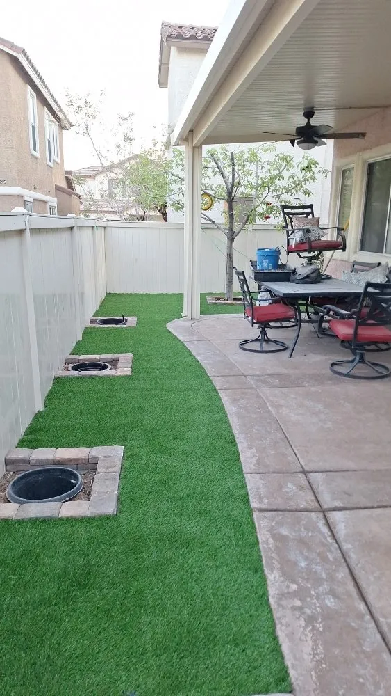 Top-rated landscape design in Paradise, NV - Tree Stars