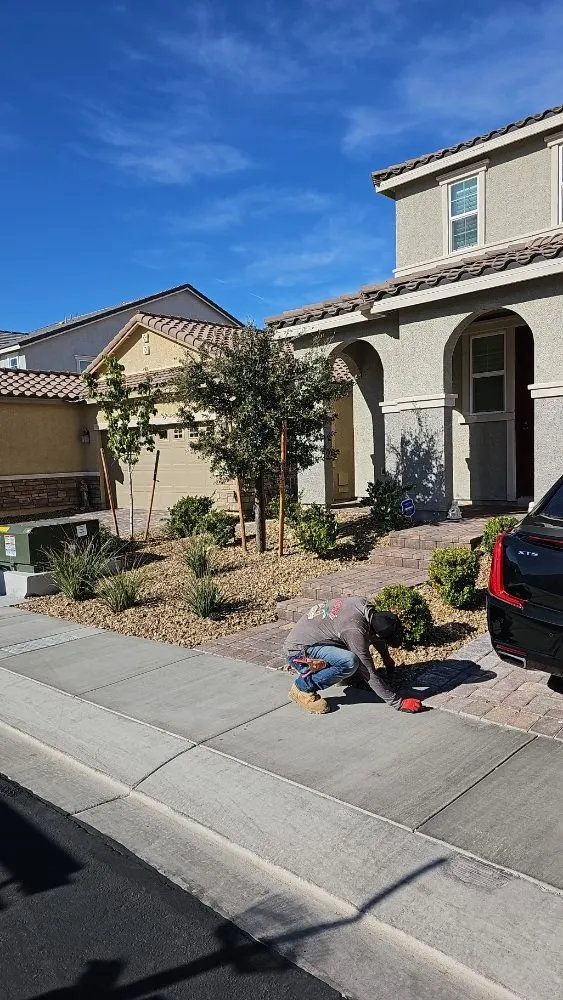 Custom outdoor landscaping experts serving Paradise, NV - Tree Stars