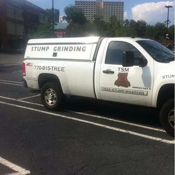 Top-rated landscape installation in Atlanta, GA - Tree Stump Masters