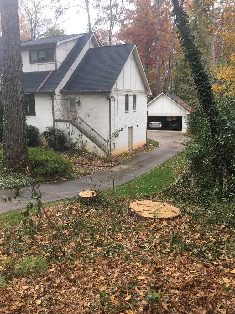 Affordable yard cleanup service in Atlanta, GA by Tree Stump Masters