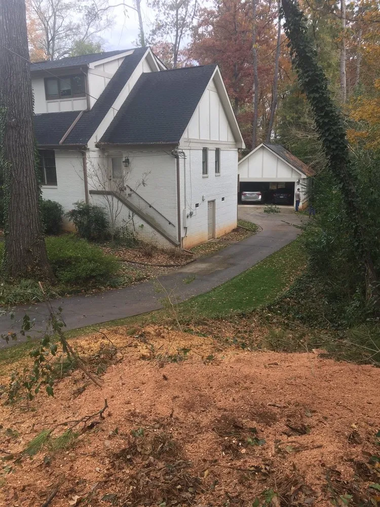 Reliable landscaping services experts serving Atlanta, GA - Tree Stump Masters