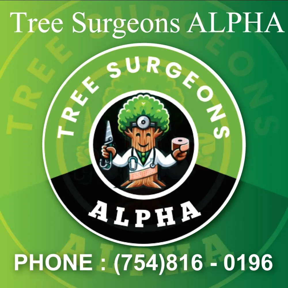 Trusted outdoor landscaping in Hollywood, FL by Tree Surgeon Alpha