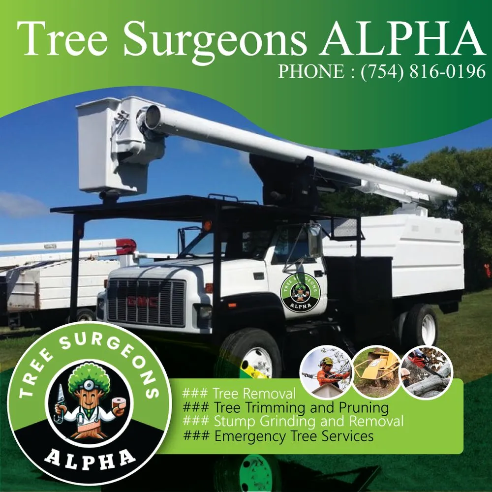 Trusted outdoor landscaping in Hollywood, FL - Tree Surgeon Alpha