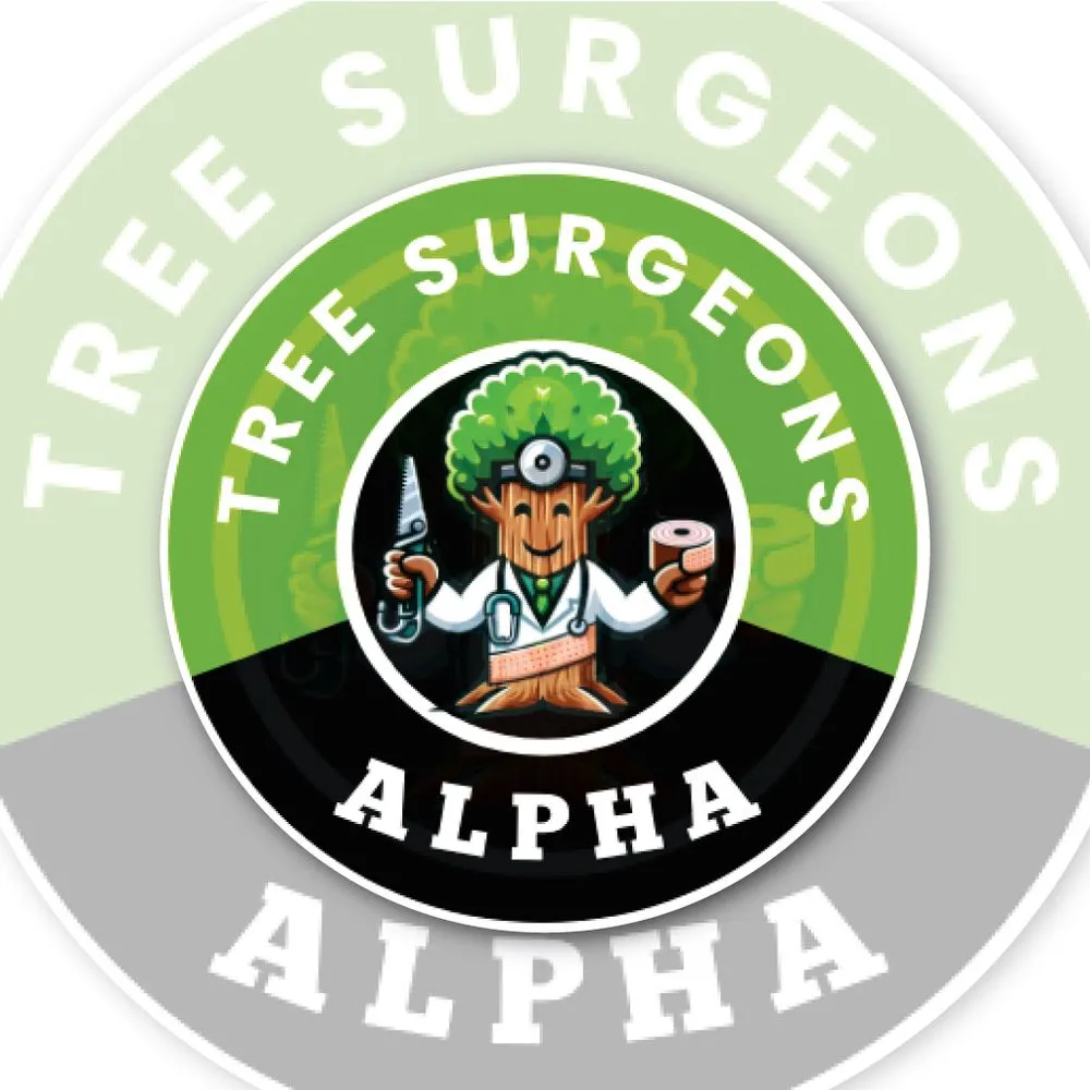 Affordable landscaping services for outdoor upgrades in Hollywood, FL by Tree Surgeon Alpha
