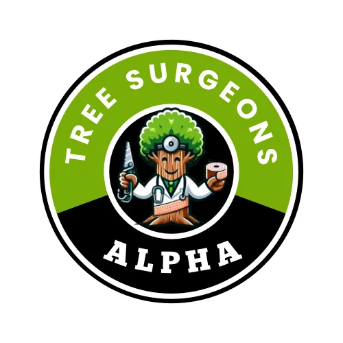 Local landscape design near you across Hollywood, FL - Tree Surgeon Alpha