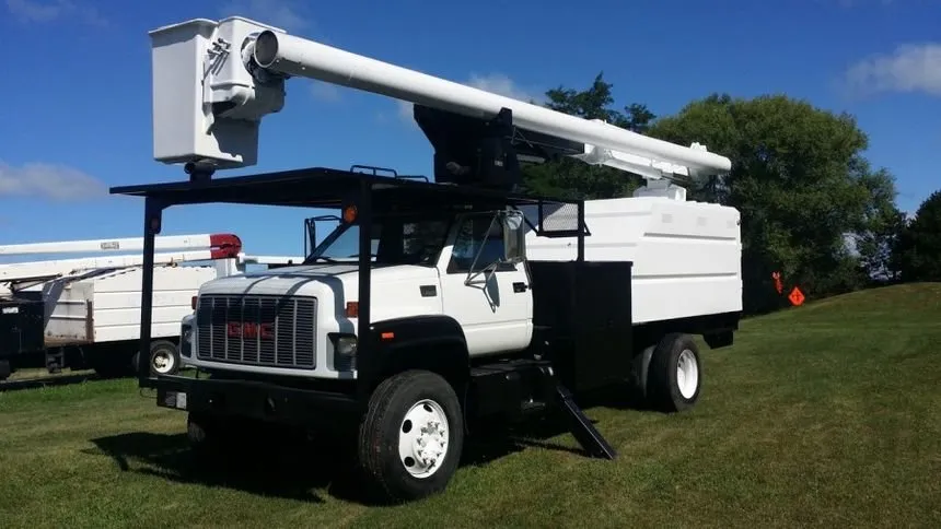 Trusted landscaping services in Hollywood, FL - Tree Surgeon Alpha