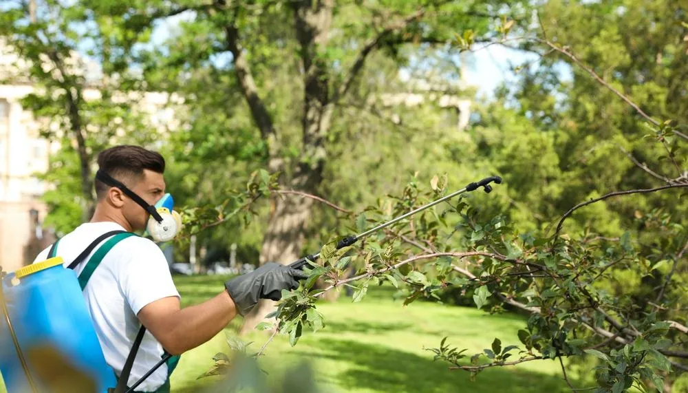 Local lawn care service for year-round maintenance in Wichita, KS by Tree Surgeons of Wichita