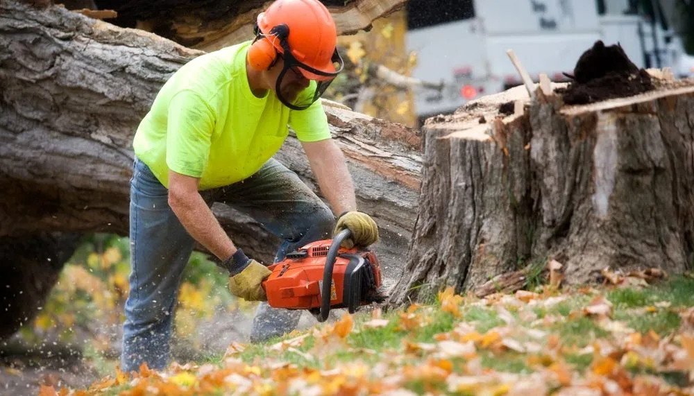 Trusted residential landscaping experts serving Wichita, KS - Tree Surgeons of Wichita