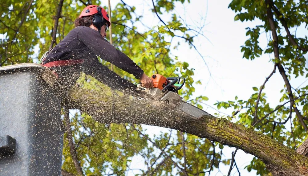 Local garden landscaping for residential properties across Wichita, KS - Tree Surgeons of Wichita