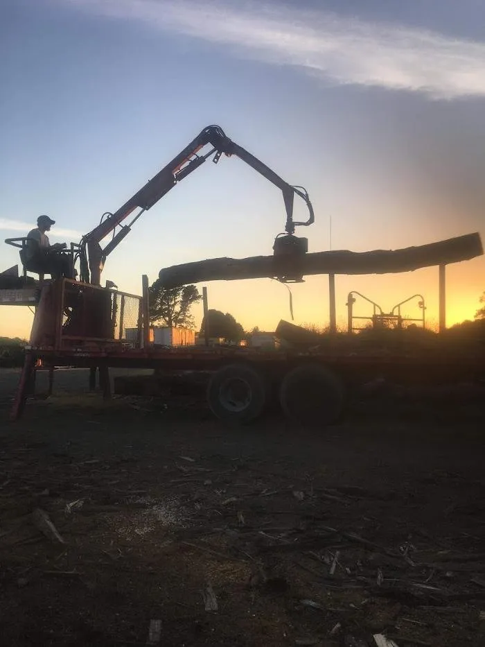 Expert garden landscaping for homes across Fortuna, CA - Tree Tactics