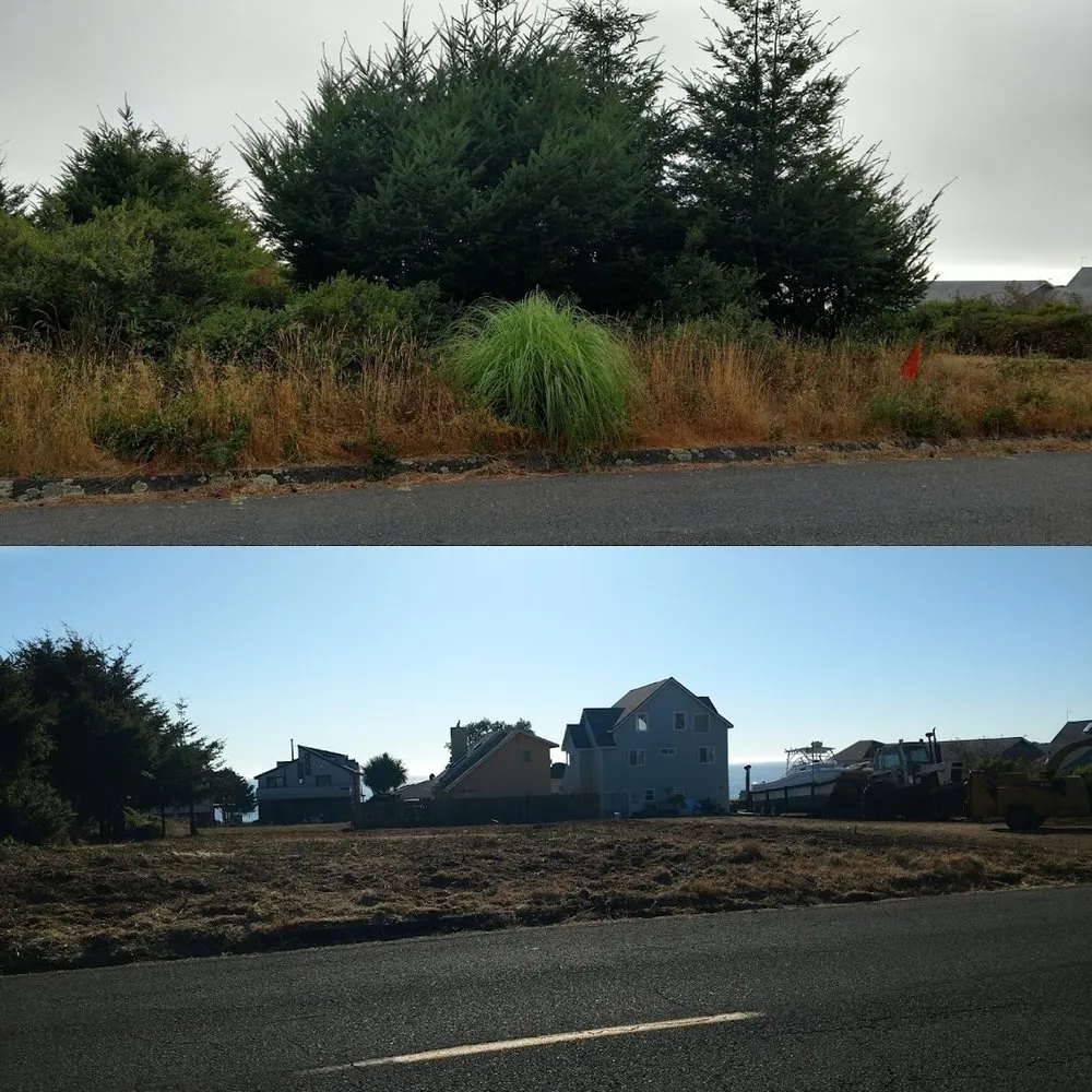 Reliable residential landscaping in Fortuna, CA - Tree Tactics