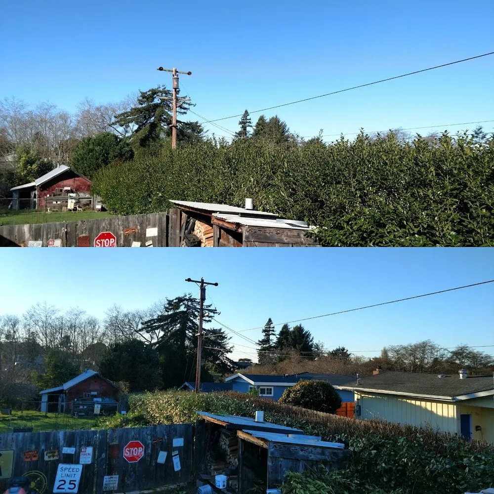 Local lawn care service for residential properties in Fortuna, CA by Tree Tactics