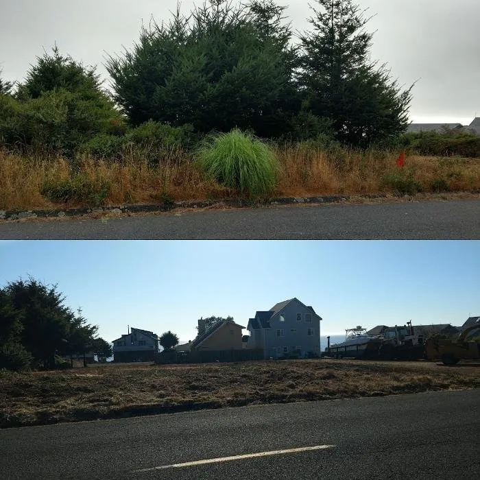 Trusted landscape installation experts serving Fortuna, CA - Tree Tactics